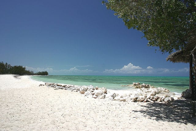 City Guides: Things to do While Boating in Andros Island, Bahamas