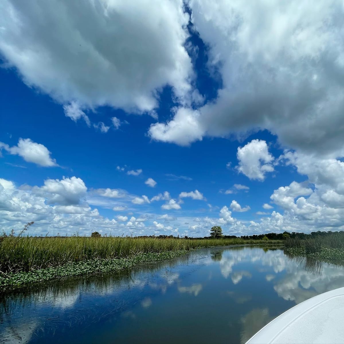 City Guides: Things to do While Boating in Apalachicola, Florida