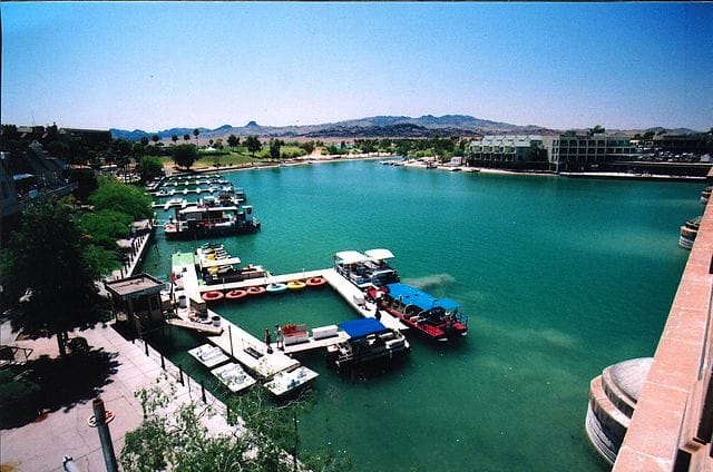 Invasive Species: What to Watch Out for While Boating in Lake Havasu