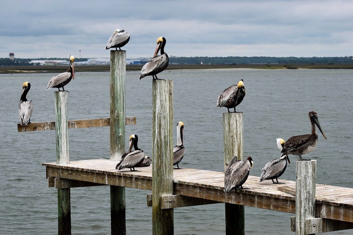 Florida's Inland Waterways: 7 Rivers to Put on Your Boating Bucket List