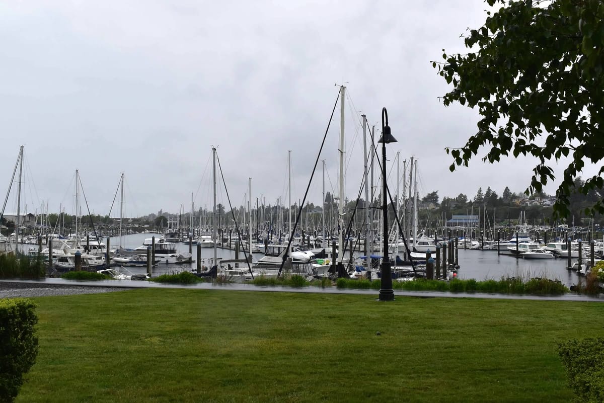 Dock and Dine: 6 Restaurants to Visit Via Boat in Bellingham, Washington