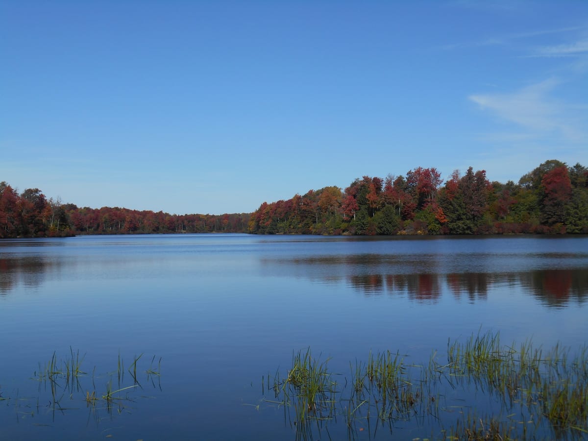 Fishing Fun: 7 Pennsylvania State Parks to Reel in the Big One