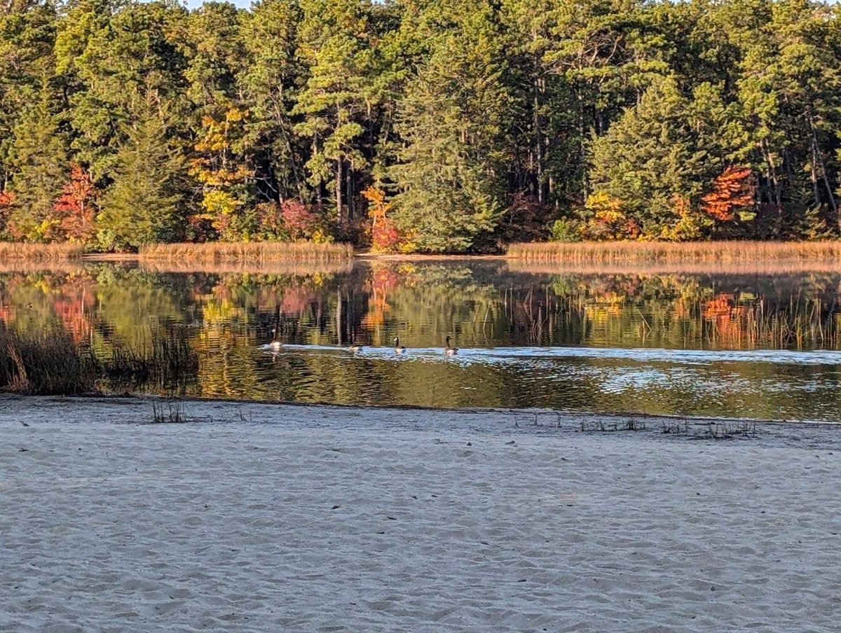 Fishing Fun: 6 New Jersey State Parks to Reel in the Big One