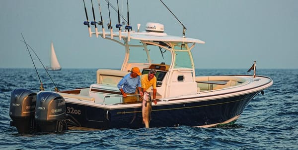 Marine Accessories: All About Fish Finders