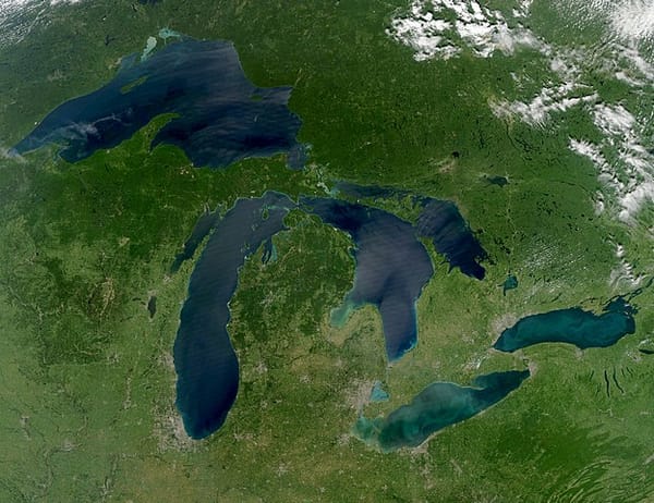 Invasive Species: What to Watch Out for in the Great Lakes