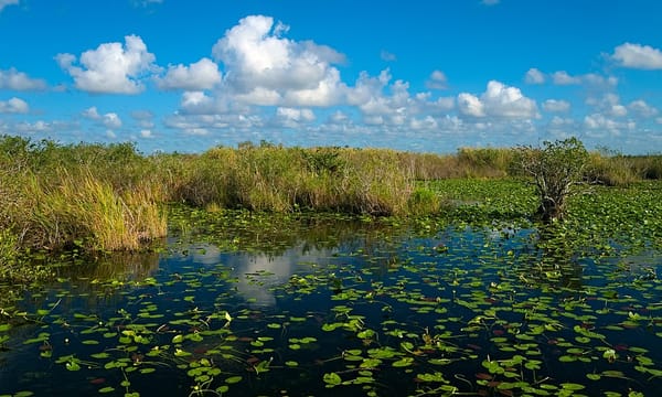 Adventures in Boating: The Florida Everglades