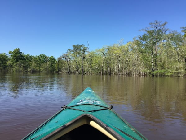 City Guides: Things to do While Boating in Beaumont, Texas