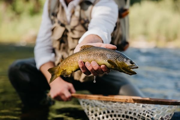 Fishing Fun: 10 Virginia State Parks to Reel in the Big One