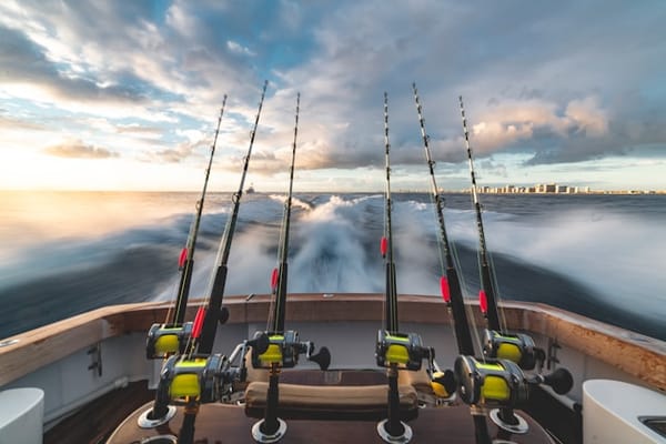 Types of Fishing Reels for Success on the Water