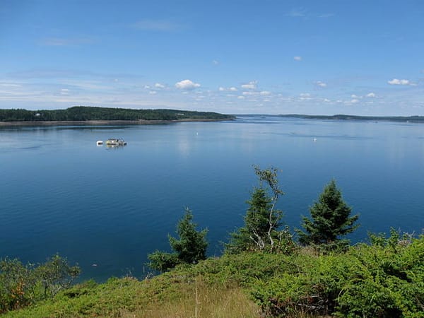 Fishing Fun: 6 Maine State Parks to Reel in the Big One